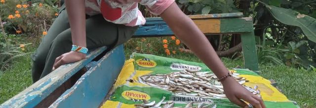 “Semer la paix là où le sol tremble.”