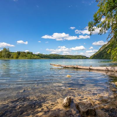 Lac Dans le Jura