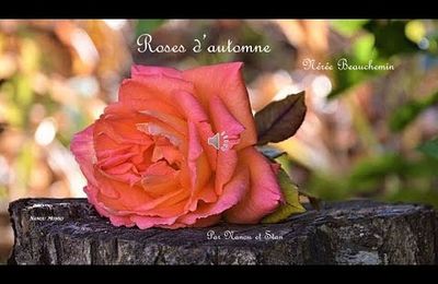 Roses d'automne-video-