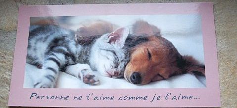10 petites histoires sur la force de l'amour