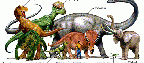 PERIODE 5: les animaux disparus: les dinosaures