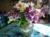 Printemps dans le jardin: les fleurs