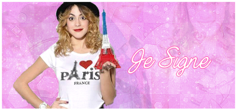 Signature de mon  blog de Mega star