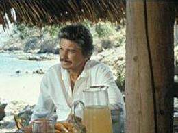 Une plage, un moustachu...