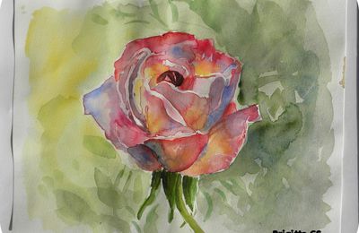 N'attendons pas des jours meilleurs pour être heureux...