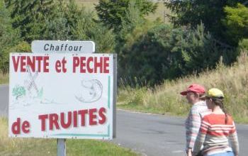 Sortie pêche