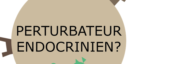 lundi 19 janvier 2026 conférence sur les perturbateurs endocriniens