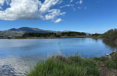 Etang de Biguglia