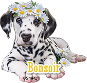 SAL "Black Stars 2022" # 7/7 (2)