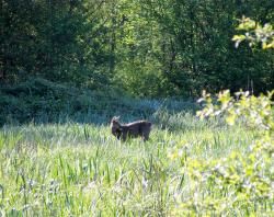 R15/  CR et Photos/ Les BILLAUX