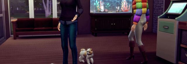 [CALF] Printemps 2 - Semaine 8 - Jours 56 à 58