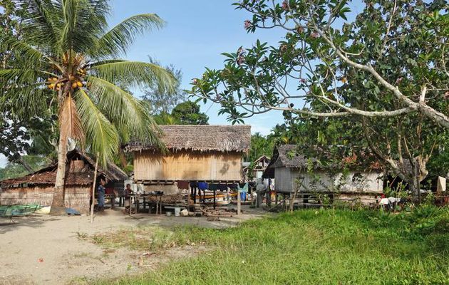 Suite de la visite du village nous ayant accueillis à Dobu Island - Papouasie Nouvelle-Guinée