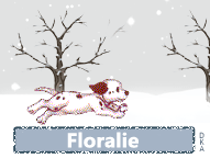 656 657 chien neige