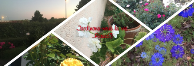 Mercredi 3 juin 2020
