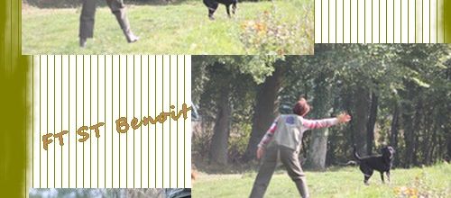 Field trial St Benoit en Woeuvre (suite)