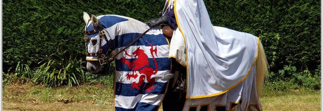 Médiévales de Commequiers 2015 (2) - Le Tournoi des Chevaliers