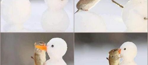 Le début d'une histoire d'amour