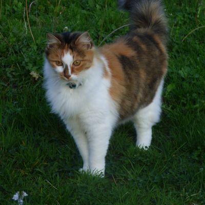 doux week end a vous tous