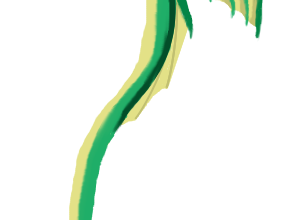 LE TEST DU DRAGON