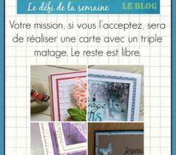Passion Cartes Créatives #456