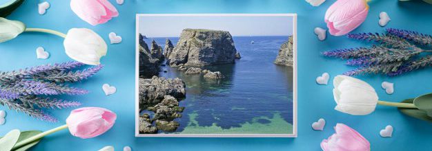 PHOTO DE BRETAGNE ENTOURER DE FLEURS