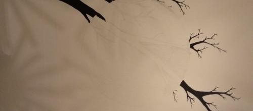 Chambre du chaton