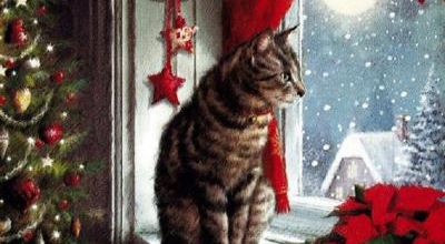 Merci pour vos vœux de Noël 