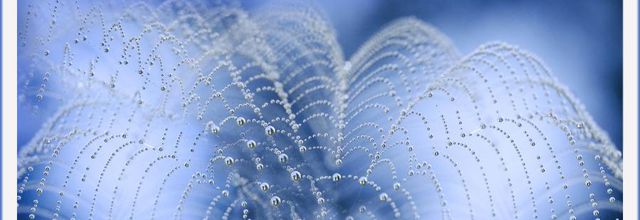 Tissage de rosée