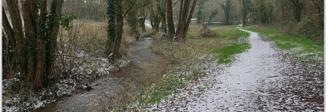 85 . Vendée - La Chaize le Vicomte (10) - Vallée Verte / Sous la neige
