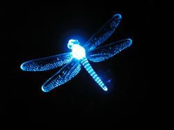 La nuit
