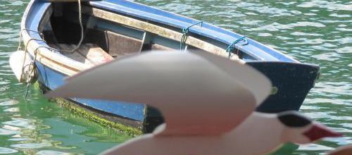 Sur l'autre rive