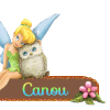 722 - La fée et la chouette - signature, blinkie, gif animé
