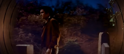 ELVIS PRESLEY - Tell Me Why