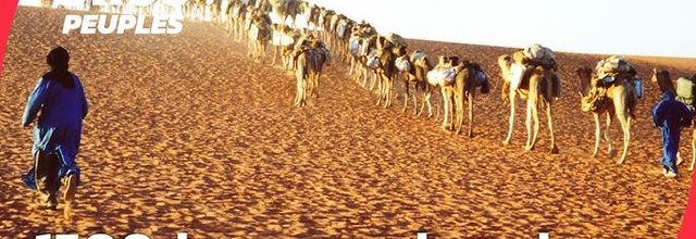 30 ans pour déchiffrer leur langue