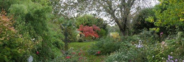 Déjà mi-octobre l'automne ...