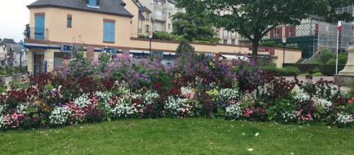 fleurs