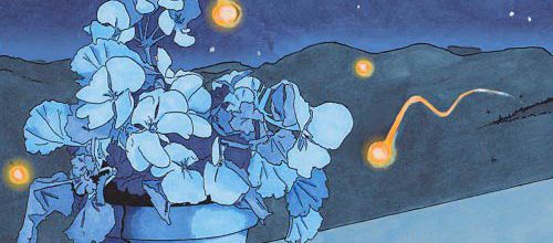 The Old Garden Geranium - The Old Garden Geranium (2011) (7,5/10)