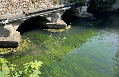 mercredi de vacances de margaux