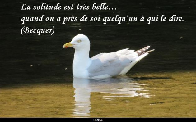 La solitude....