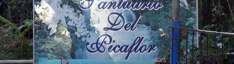 Arica ~ La Ferme aux colibris