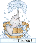 Essai 14 - Pochette Valentine 