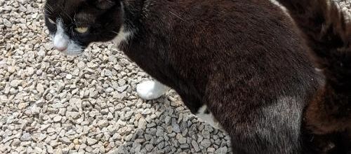 une pause à Villanova - Espagne