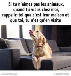 ATC "Animaux de la fôret"