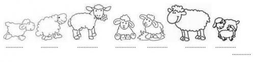 Le berger et les moutons