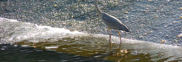 Direction le plan d'eau et ballade sur le Solis