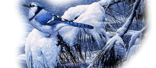 Citations hiver