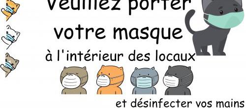 Affiches félines en vrac