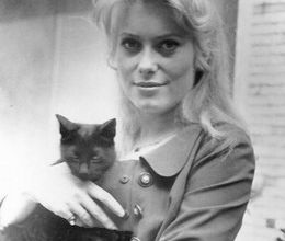 BOX OFFICE CATHERINE DENEUVE - MISE A JOUR