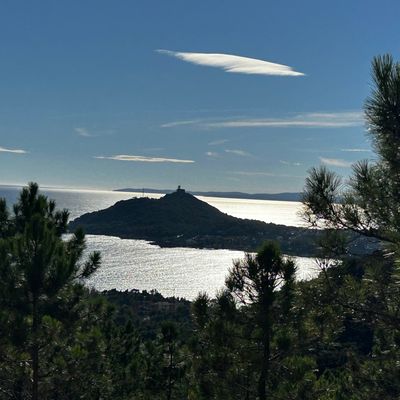 Le bulletin de novembre 2025