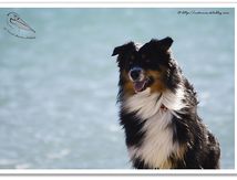 Sortie en bord de mer...